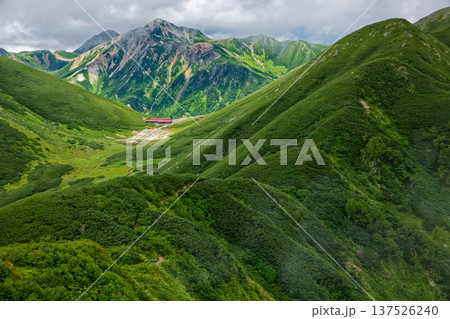 北アルプス・弓折岳稜線から見る双六小屋と鷲羽岳・水晶岳 137526240