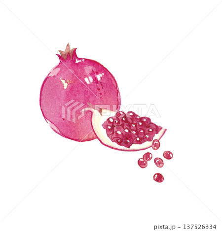 ザクロ　水彩イラスト 137526334