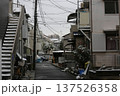 初雪 137526358