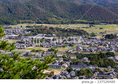 嵯峨嵐山　小倉山山頂から望む広沢池 137526489