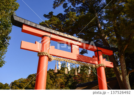 上賀茂神社(賀茂別雷神社)一の鳥居 上賀茂神社(賀茂別雷神社)一の鳥居 137526492