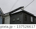 初雪 137526617