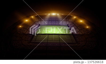 The stadium	 137526618