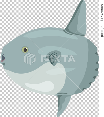 Sunfish 137526669