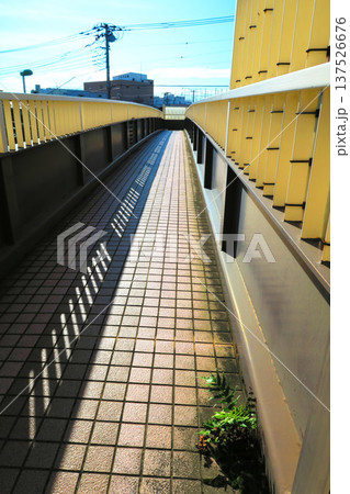 老朽化した歩道橋の風景 137526676