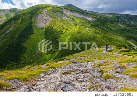 北アルプス・樅沢岳稜線を行く登山者と双六岳 137526693