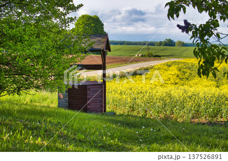 Idyllic countryside scene with a wooden well and vibrant yellow rapeseed field 137526891