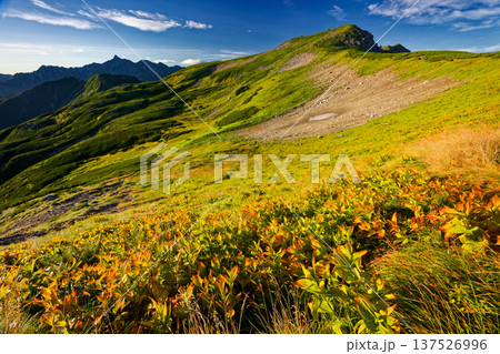 晩夏の北アルプス・双六岳と槍ヶ岳 137526996