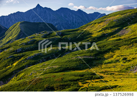 北アルプス・三俣蓮華岳への縦走路から見る槍ヶ岳 137526998