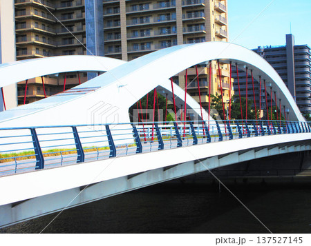新豊橋(東京都足立区新田~東京都北区豊島)の風景 新豊橋(東京都足立区新田~東京都北区豊島)の風景 137527145