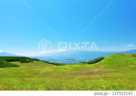 長野県 青空の霧ヶ峰 富士見台展望台からの風景 長野県 青空の霧ヶ峰 富士見台展望台からの風景 137527147