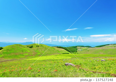 長野県　青空の霧ヶ峰　富士見台展望台からの風景 137527148
