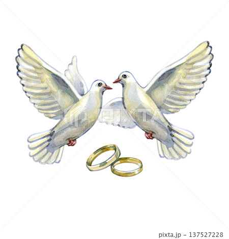 Romantic watercolor illustration featuring a pair of white doves in flight above two interlocked gold wedding rings. This symbolic composition represents love, devotion, and a sacred marriage union. Romantic watercolor illustration featuring a pair of white doves in flight above two interlocked gold wedding rings. This symbolic composition represents love, devotion, and a sacred marriage union. 137527228