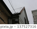 初雪 137527316