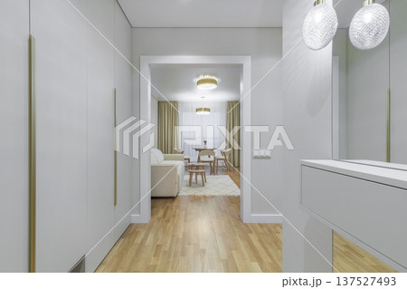 Modern Apartment Entrance Hall with View of Minimalist Living Room 137527493