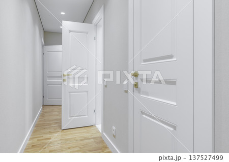 Bright Modern Hallway with White Classic Doors and Gold Handles 137527499