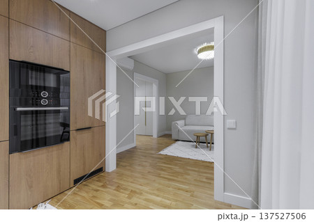 Modern Kitchen with Integrated Appliances and Living Room View Modern Kitchen with Integrated Appliances and Living Room View 137527506