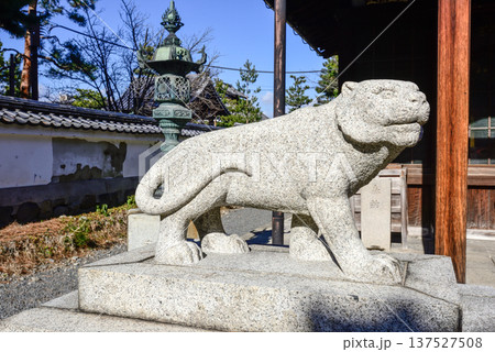 建仁寺塔頭寺院　両足院鎮守社　毘沙門天堂　狛虎 137527508