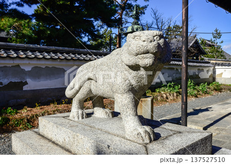 建仁寺塔頭寺院 両足院鎮守社 毘沙門天堂 狛虎 建仁寺塔頭寺院 両足院鎮守社 毘沙門天堂 狛虎 137527510
