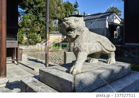 建仁寺塔頭寺院　両足院鎮守社　毘沙門天堂　狛虎 137527511