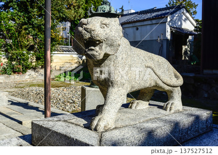 建仁寺塔頭寺院 両足院鎮守社 毘沙門天堂 狛虎 建仁寺塔頭寺院 両足院鎮守社 毘沙門天堂 狛虎 137527512
