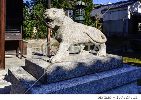 建仁寺塔頭寺院 両足院鎮守社 毘沙門天堂 狛虎 建仁寺塔頭寺院 両足院鎮守社 毘沙門天堂 狛虎 137527513