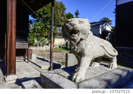 建仁寺塔頭寺院 両足院鎮守社 毘沙門天堂 狛虎 建仁寺塔頭寺院 両足院鎮守社 毘沙門天堂 狛虎 137527515