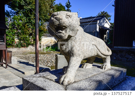 建仁寺塔頭寺院 両足院鎮守社 毘沙門天堂 狛虎 建仁寺塔頭寺院 両足院鎮守社 毘沙門天堂 狛虎 137527517