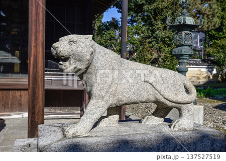 建仁寺塔頭寺院 両足院鎮守社 毘沙門天堂 狛虎 建仁寺塔頭寺院 両足院鎮守社 毘沙門天堂 狛虎 137527519