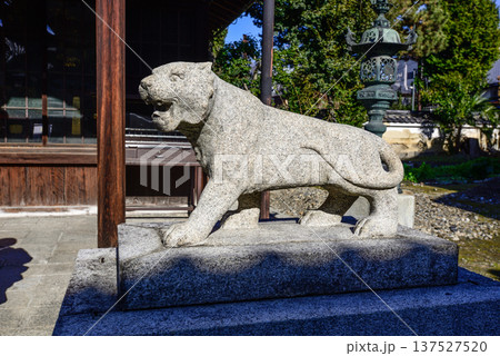 建仁寺塔頭寺院　両足院鎮守社　毘沙門天堂　狛虎 137527520