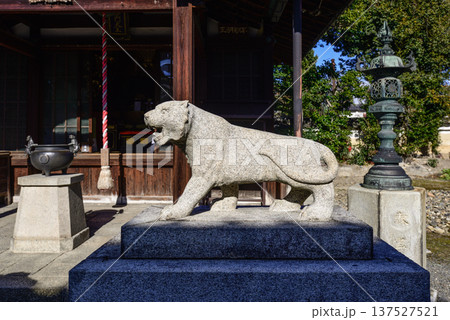 建仁寺塔頭寺院 両足院鎮守社 毘沙門天堂 狛虎 建仁寺塔頭寺院 両足院鎮守社 毘沙門天堂 狛虎 137527521
