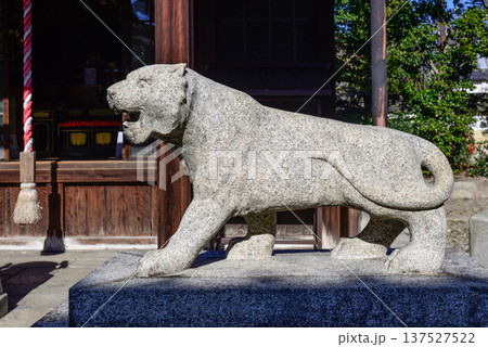 建仁寺塔頭寺院　両足院鎮守社　毘沙門天堂　狛虎 137527522