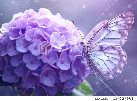 夏の花の壁紙－紫陽花④ 137527661