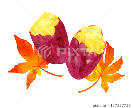 焼き芋と紅葉 手描き水彩イラスト素材 焼き芋と紅葉 手描き水彩イラスト素材 137527758