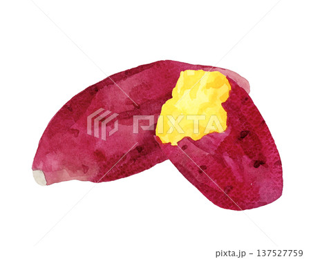 焼き芋の手描き水彩イラスト素材 137527759