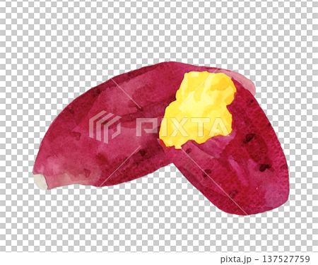 手繪水彩插圖，描繪的是烤地瓜 137527759