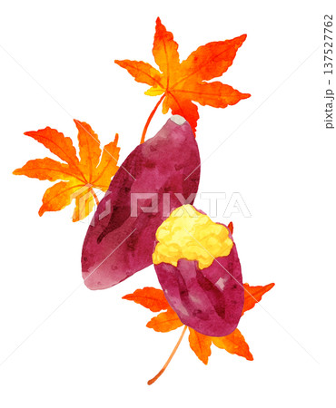 焼き芋と紅葉のセット　手描き水彩イラスト素材 137527762