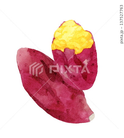 焼き芋の手描き水彩イラスト素材 137527763