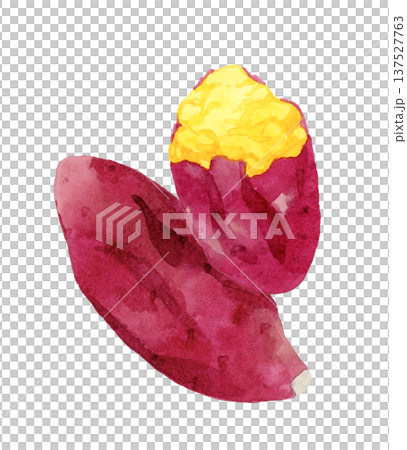 手繪水彩插圖，描繪的是烤地瓜 137527763