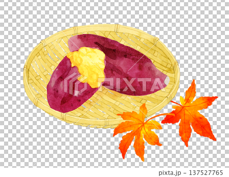 竹籃裡盛著烤地瓜和秋葉。手繪水彩插圖。 137527765