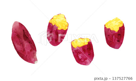 焼き芋のセット　手描き水彩イラスト素材 137527766