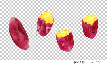 一組烤地瓜－手繪水彩插圖 137527766