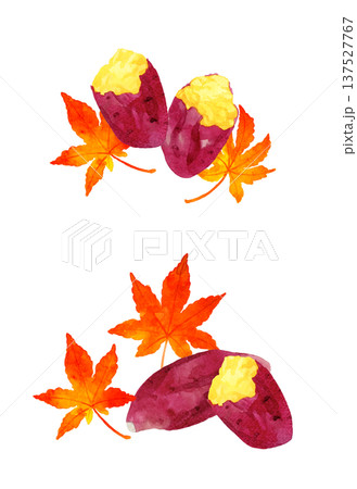 焼き芋と紅葉のセット　手描き水彩イラスト素材 137527767