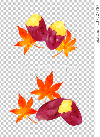 焼き芋と紅葉のセット　手描き水彩イラスト素材 137527767