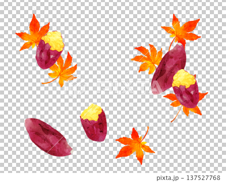 Set of roasted sweet potatoes and autumn leaves - hand-drawn watercolor illustration 137527768