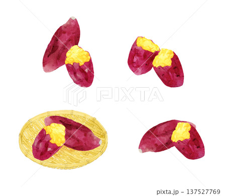焼き芋のセット　手描き水彩イラスト素材 137527769
