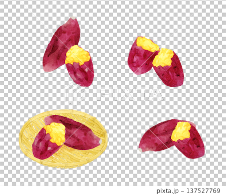 一組烤地瓜－手繪水彩插圖 137527769