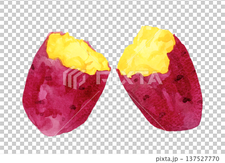 手繪水彩插圖，描繪的是烤地瓜 137527770