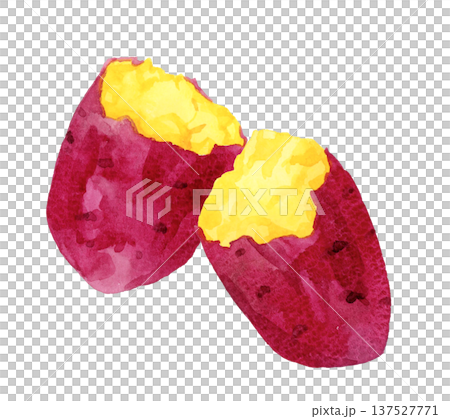 手繪水彩插圖，描繪的是烤地瓜 137527771