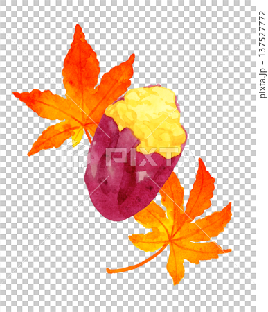 手繪水彩插畫：烤地瓜和秋葉 137527772